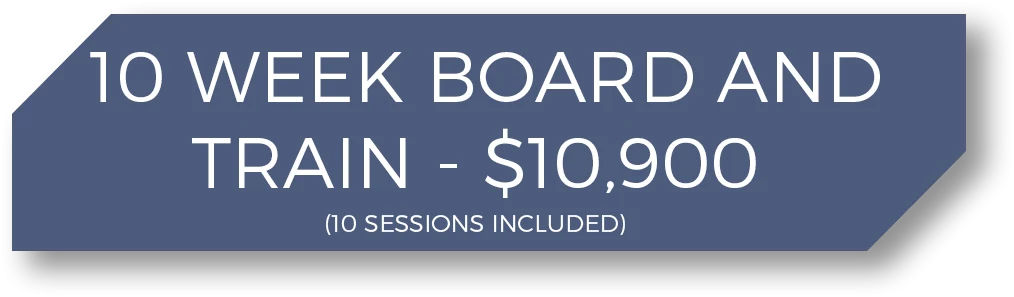 10 Week Board and Train - $10,900
