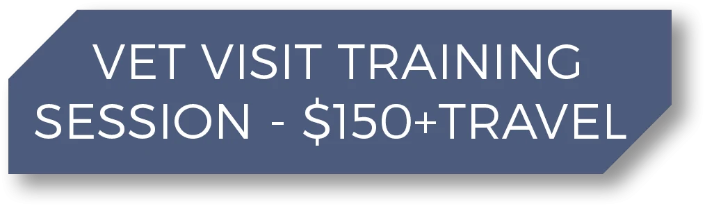 Vet Visit Training Session - $150 + travel